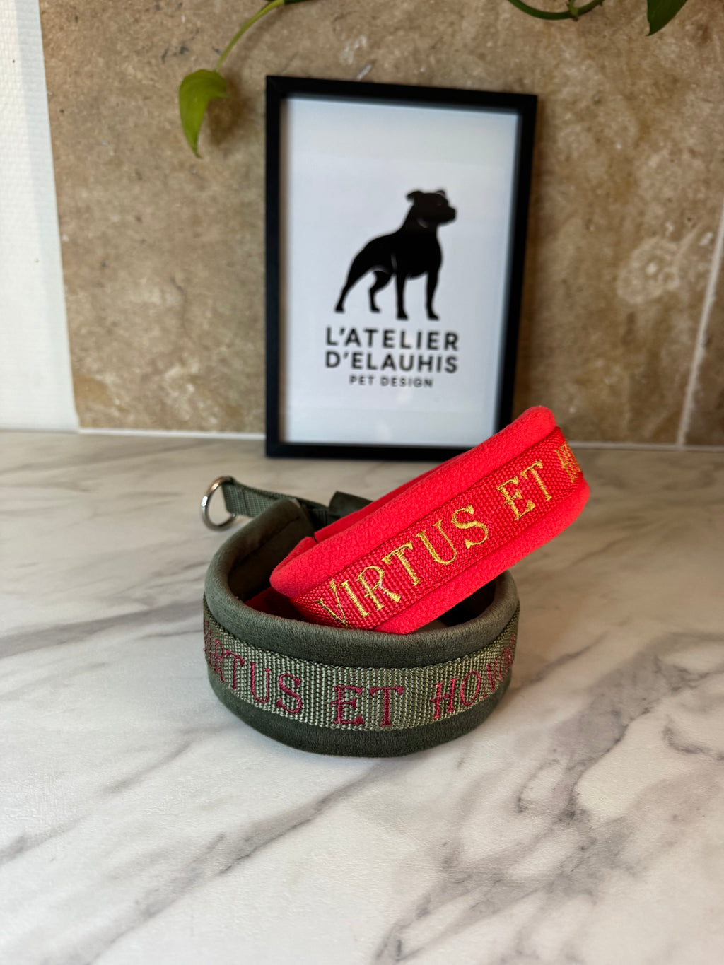 collier personnalisé sur mesure pour chien