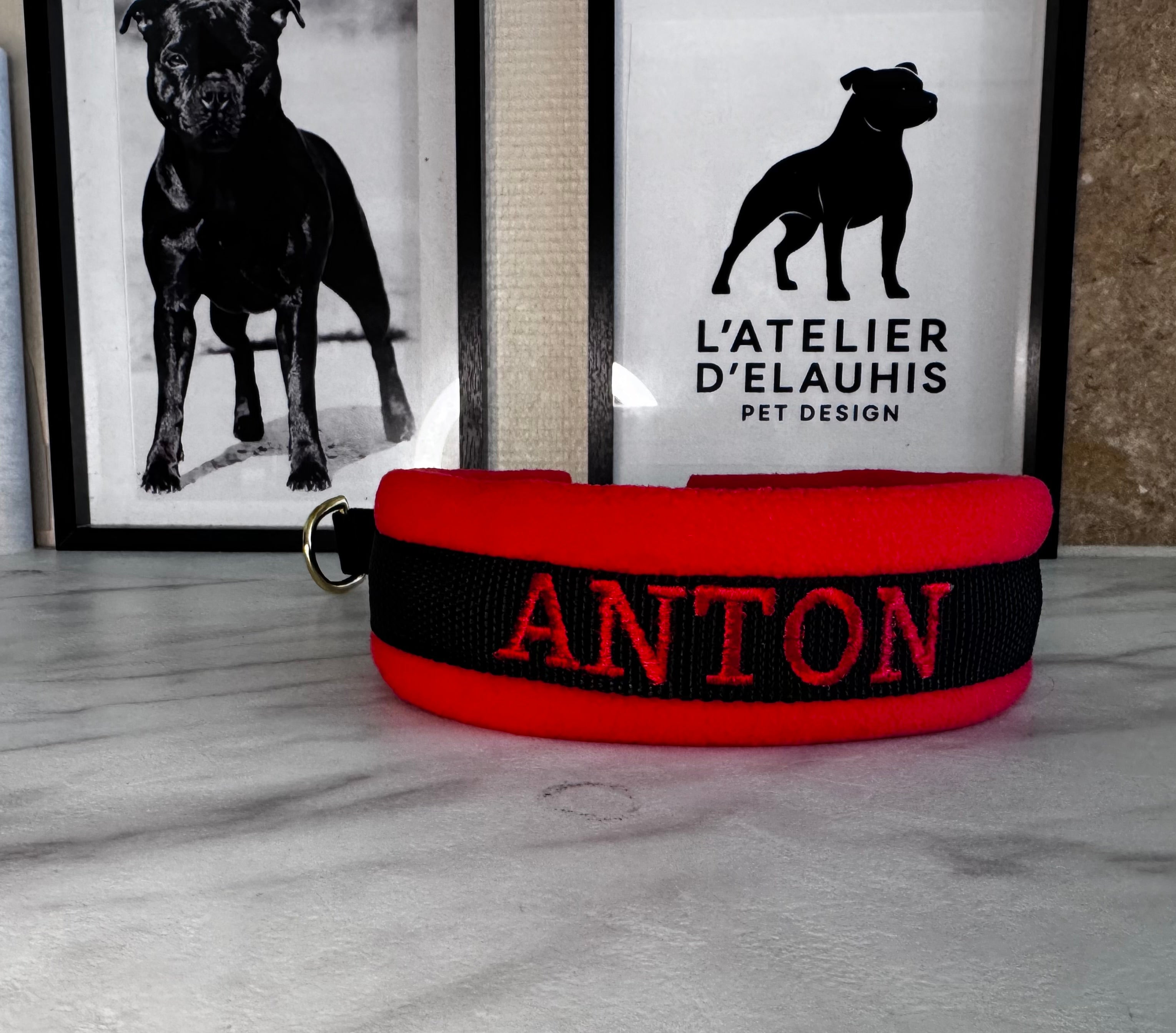collier personnalisé sur mesure pour chien